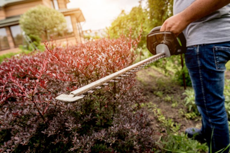 Forsythia Hedge Trimming