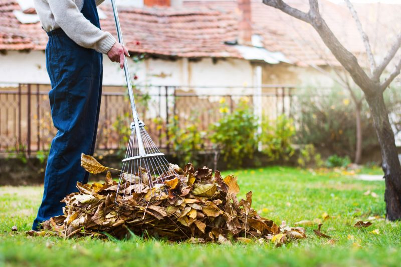 Clean Yard with Raked Leaves
