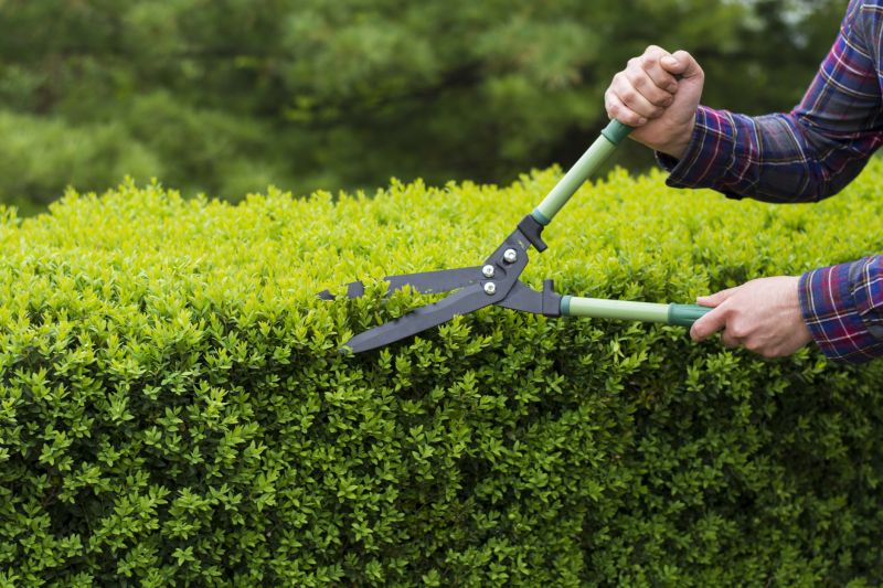 Trimming Tools for Forsythia