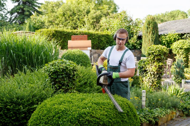 Professional Landscaping Services